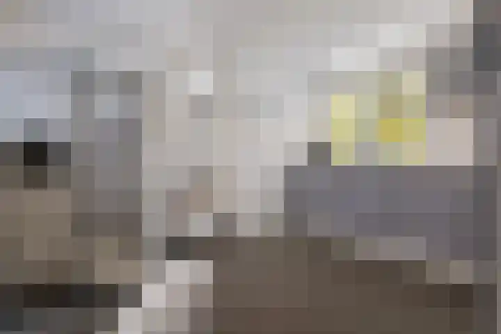Gerrit Imbosstraat 12 Foxhol thumbnail 14