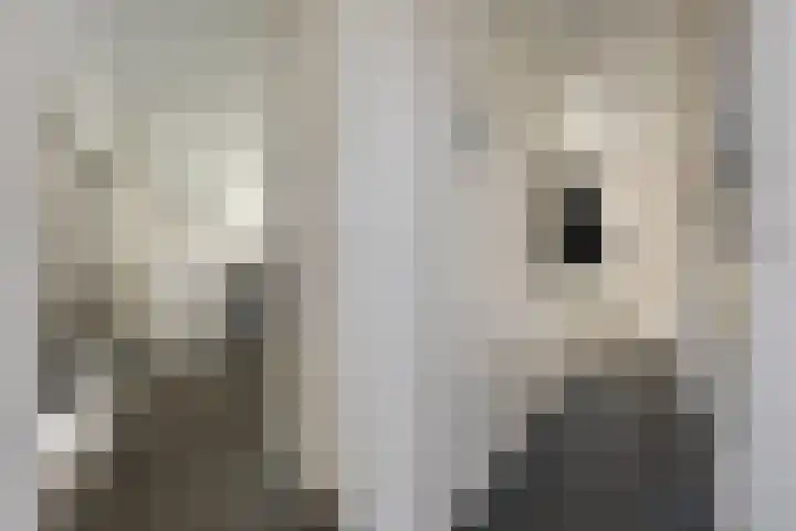 Gerrit Imbosstraat 12 Foxhol thumbnail 16