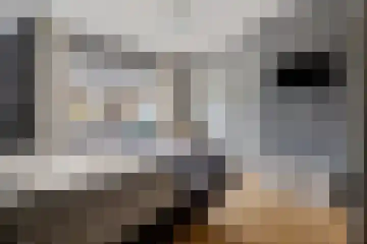 Gerrit Imbosstraat 12 Foxhol thumbnail 27