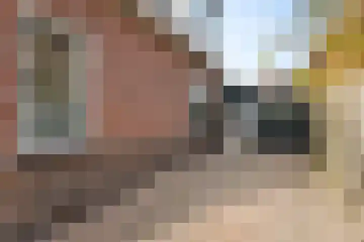Gerrit Imbosstraat 12 Foxhol thumbnail 29