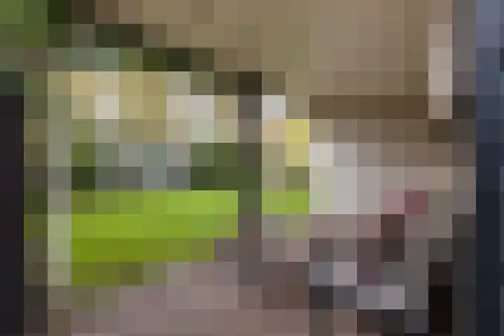 Gerrit Imbosstraat 12 Foxhol thumbnail 33