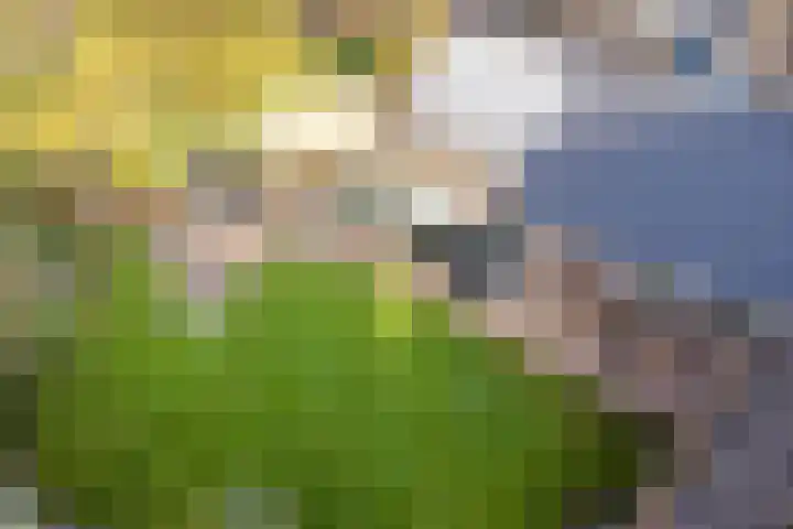 Gerrit Imbosstraat 12 Foxhol thumbnail 36