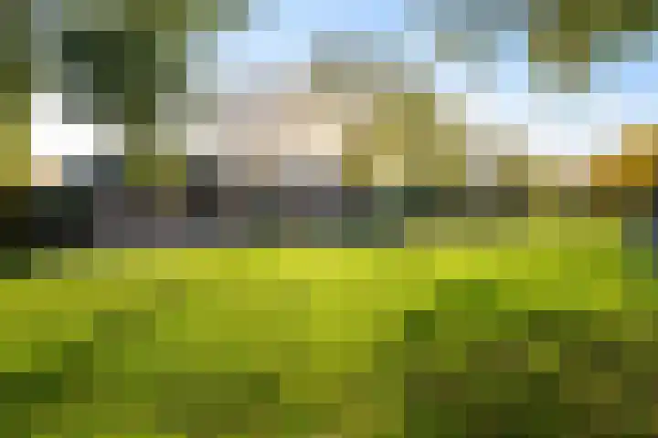 Gerrit Imbosstraat 12 Foxhol thumbnail 39