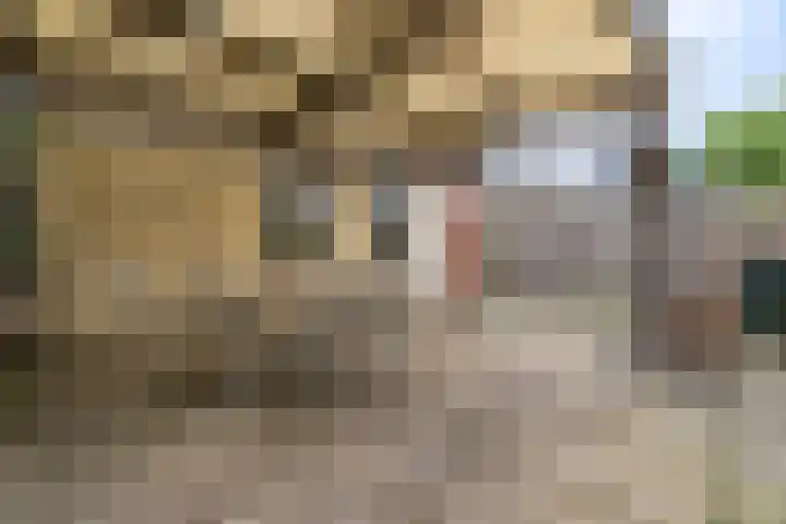 Gerrit Imbosstraat 21 Foxhol thumbnail 10