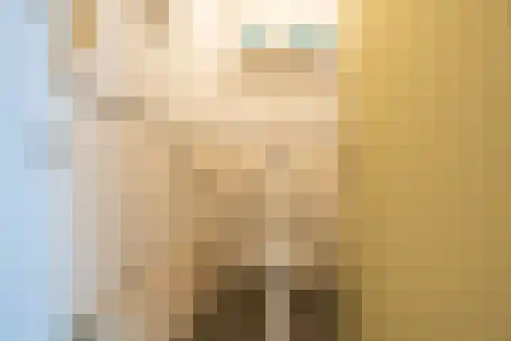 Gerrit Imbosstraat 21 Foxhol thumbnail 24