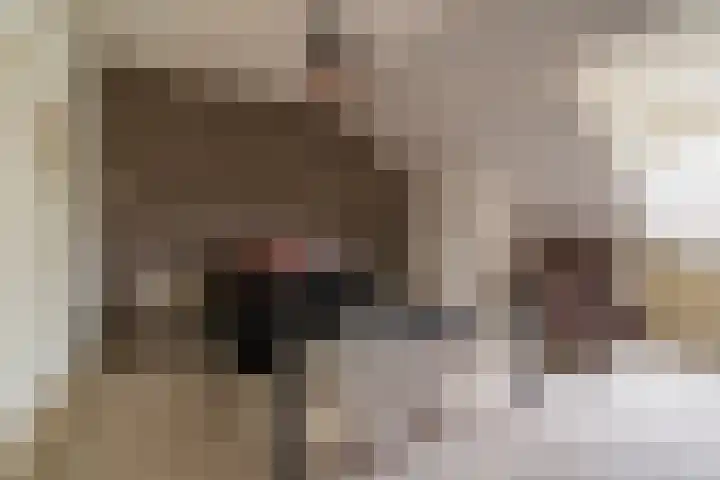 Gerrit Imbosstraat 21 Foxhol thumbnail 31