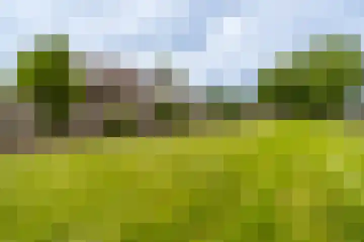 Gerrit Imbosstraat 21 Foxhol thumbnail 7