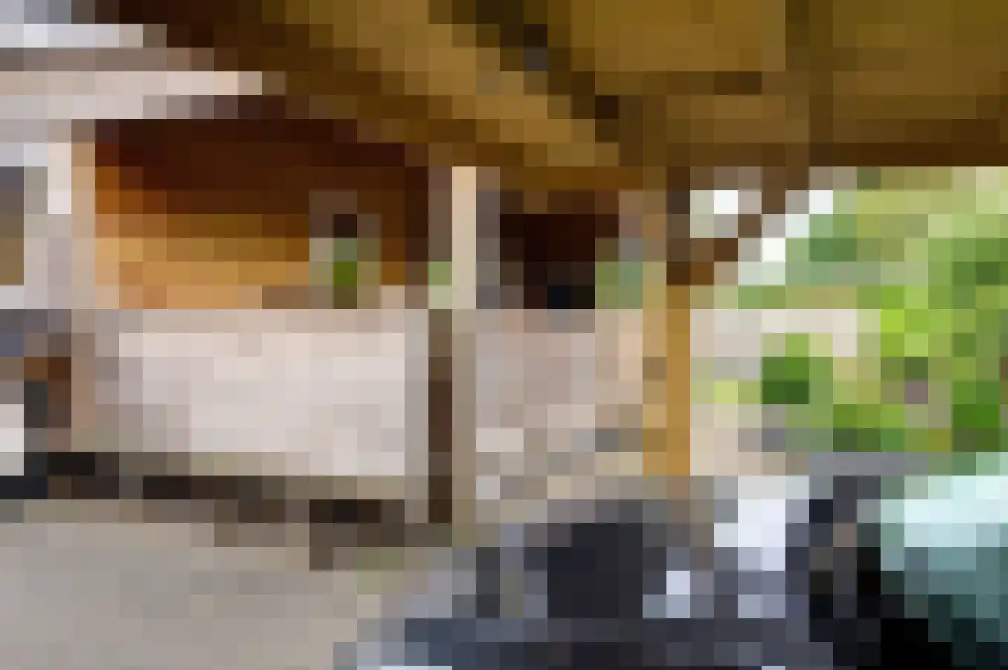 Gerrit Imbosstraat 24 Foxhol thumbnail 13