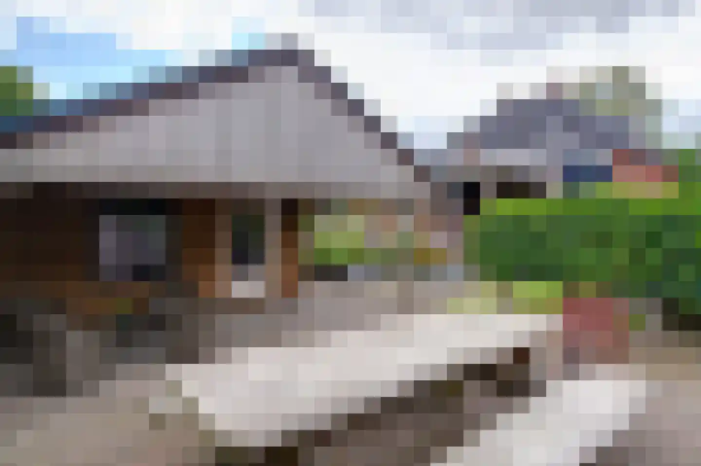 Gerrit Imbosstraat 24 Foxhol thumbnail 19