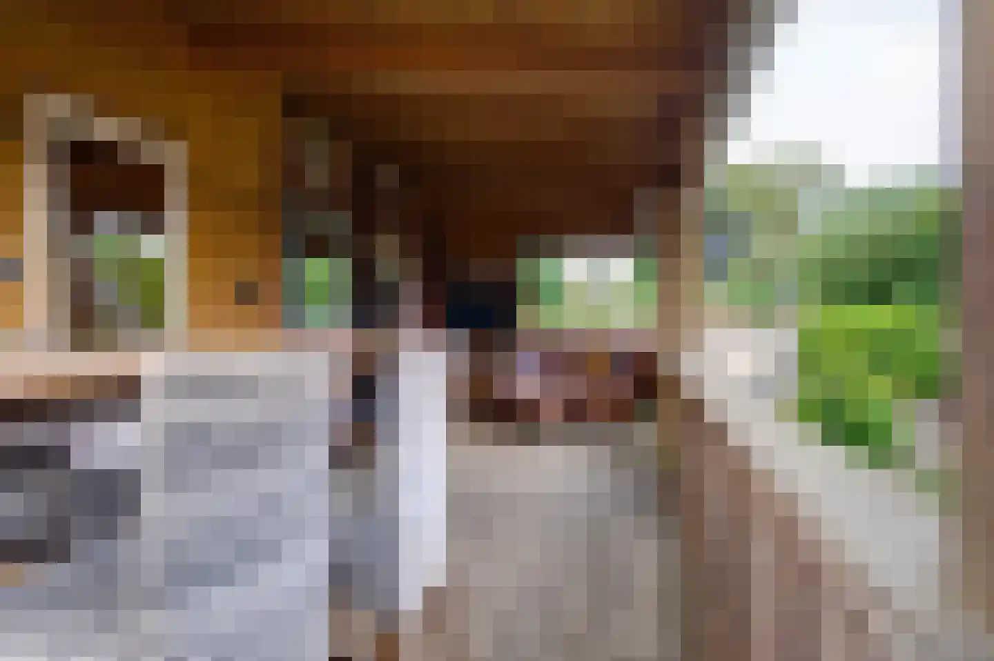 Gerrit Imbosstraat 24 Foxhol thumbnail 22