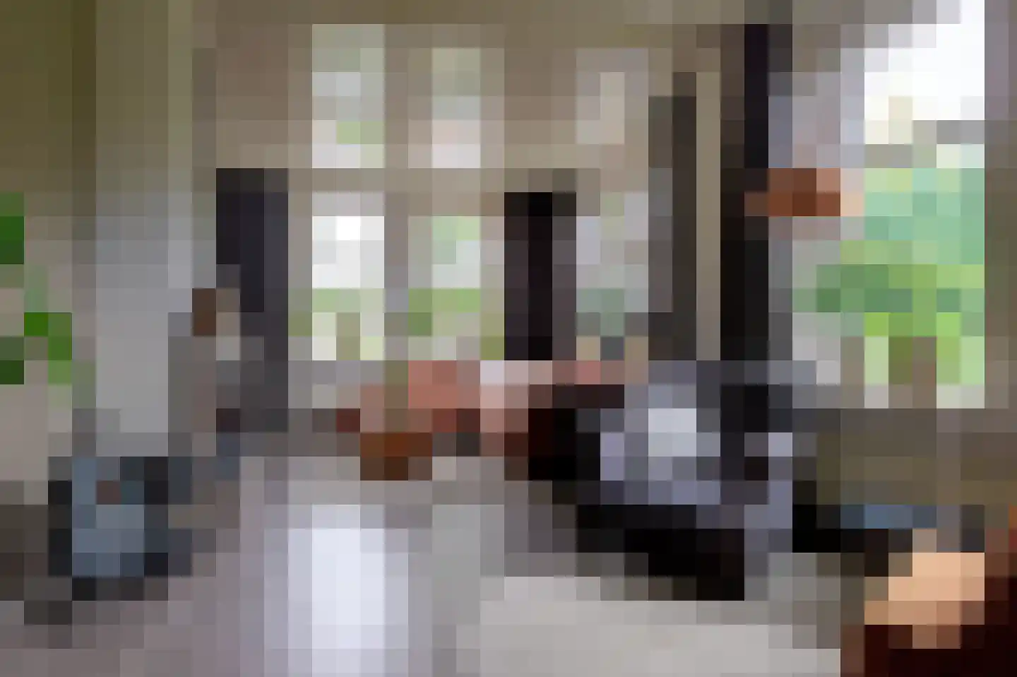 Gerrit Imbosstraat 24 Foxhol thumbnail 25