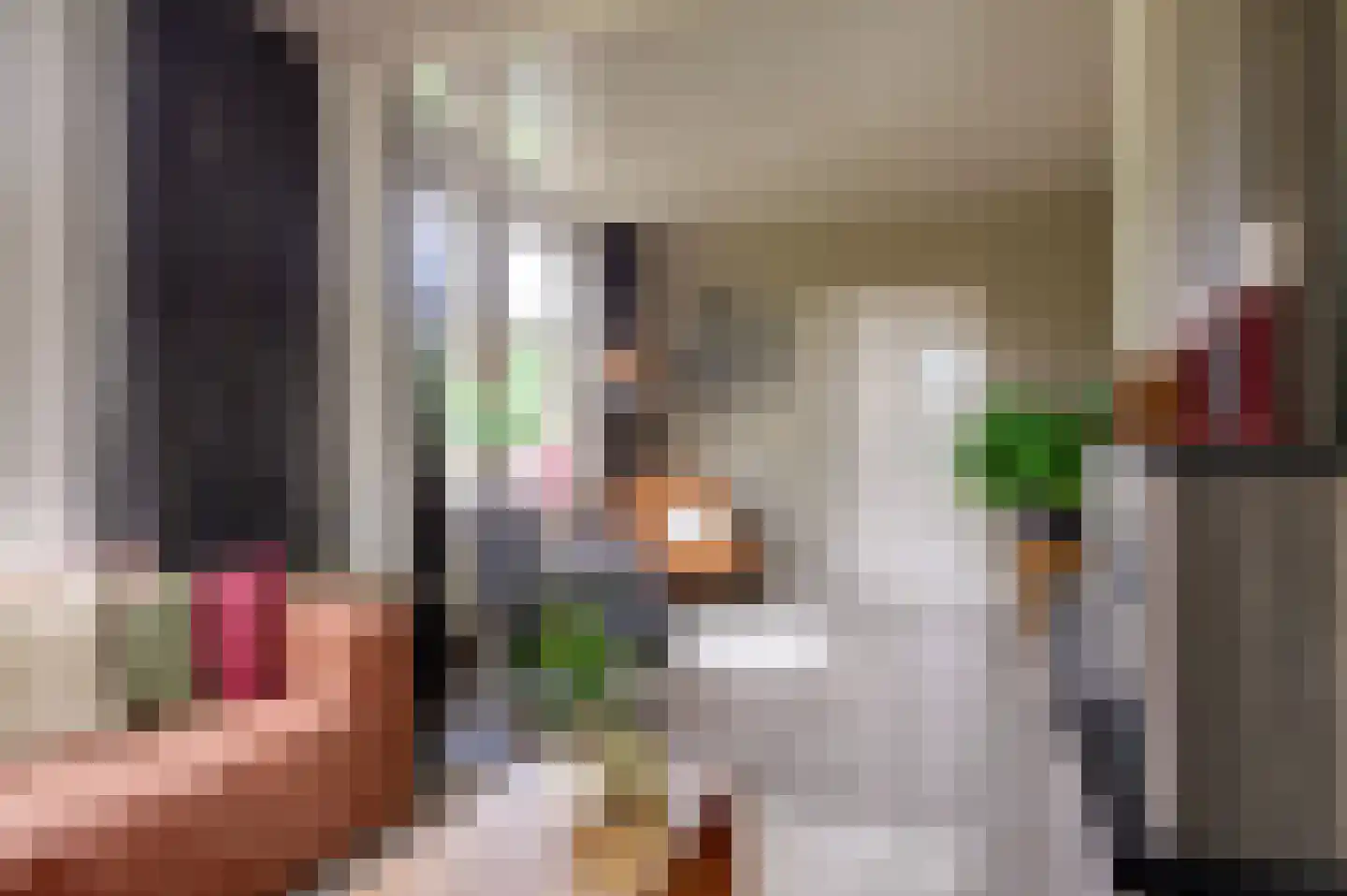Gerrit Imbosstraat 24 Foxhol thumbnail 28