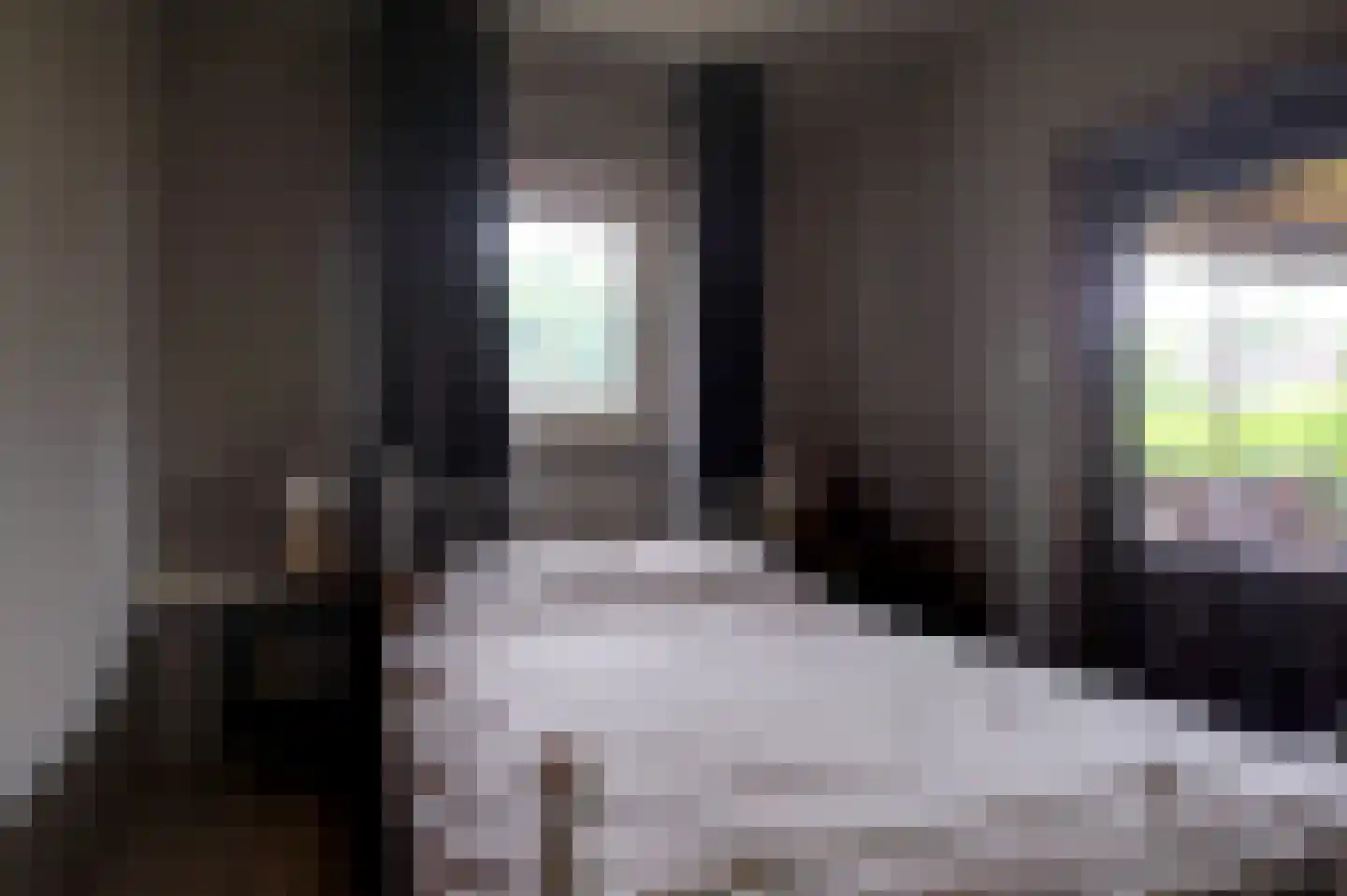 Gerrit Imbosstraat 24 Foxhol thumbnail 31