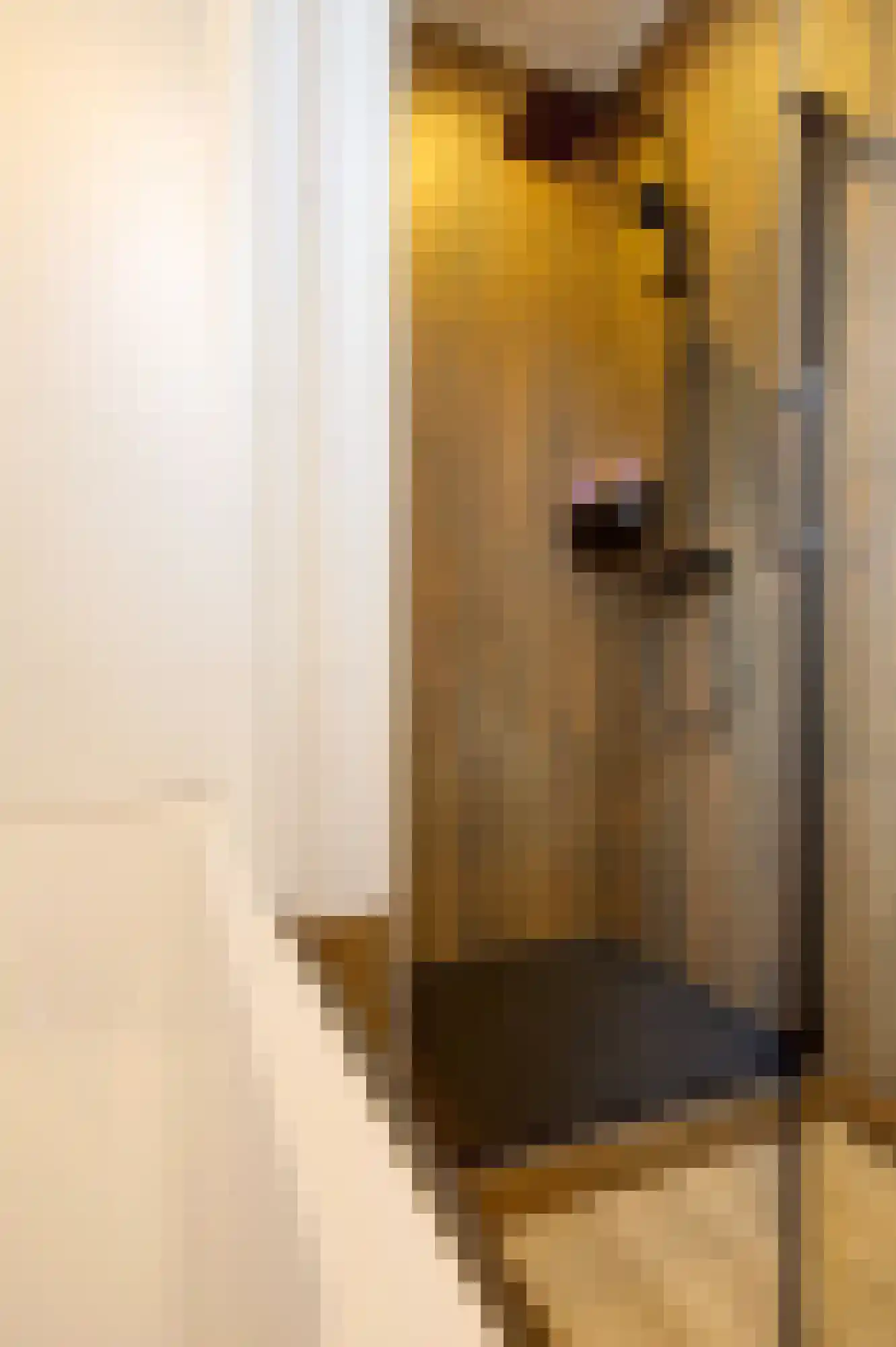 Gerrit Imbosstraat 24 Foxhol thumbnail 37