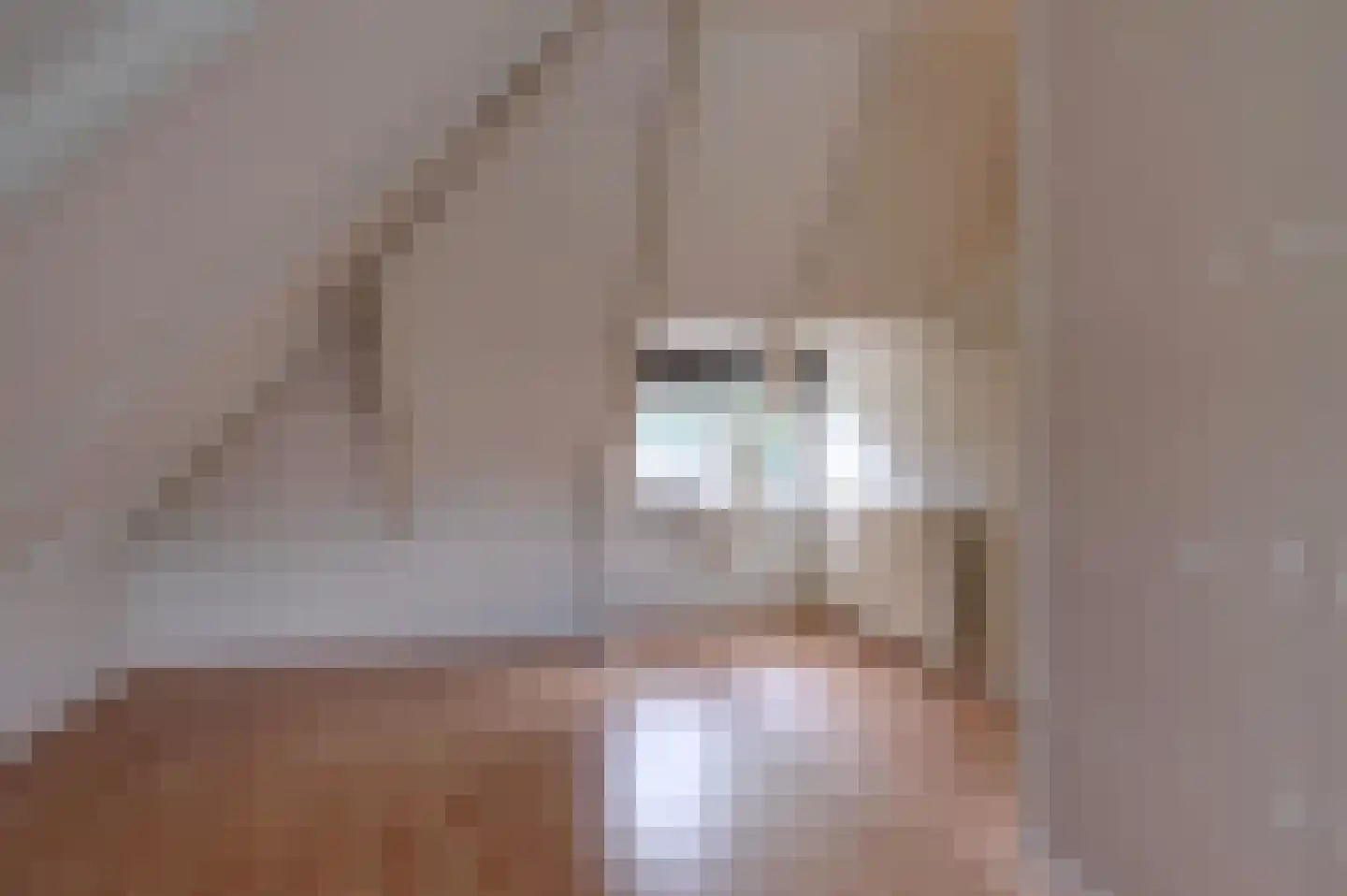 Gerrit Imbosstraat 24 Foxhol thumbnail 42