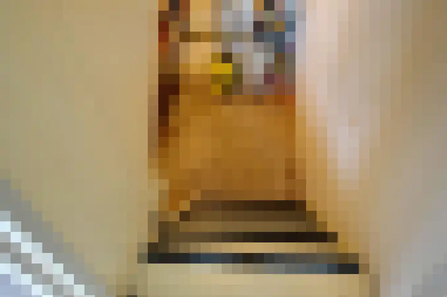 Gerrit Imbosstraat 24 Foxhol thumbnail 46