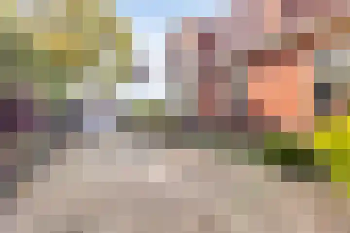 Gerrit Imbosstraat 80 Foxhol thumbnail 25