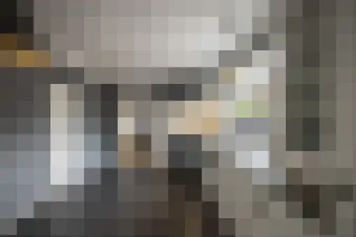 Gerrit Jan Kerkdijkweg 15 a Daarlerveen thumbnail 20