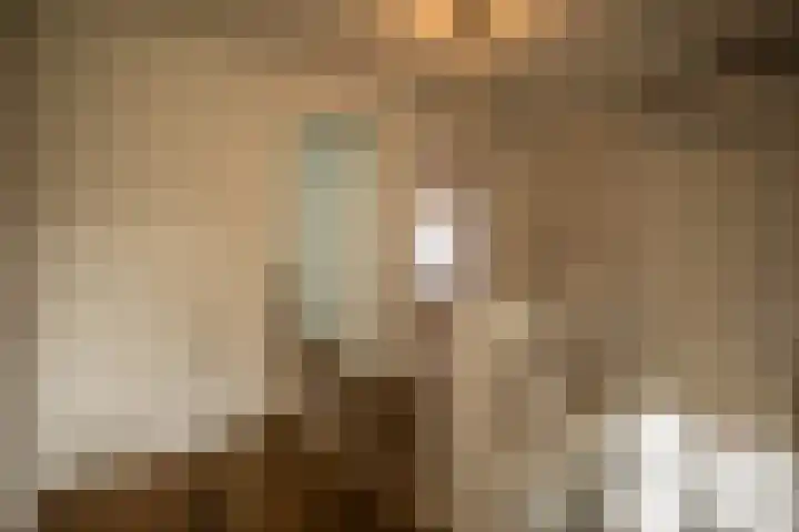 Gerrit Jan Kerkdijkweg 15 a Daarlerveen thumbnail 23
