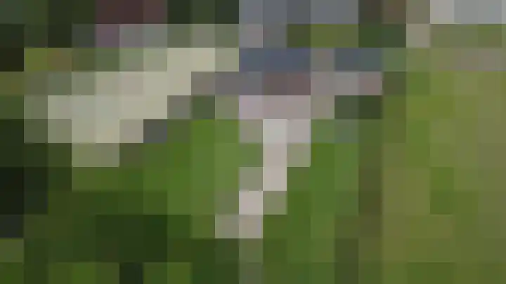 Gerrit Jan Kerkdijkweg 15 a Daarlerveen thumbnail 4