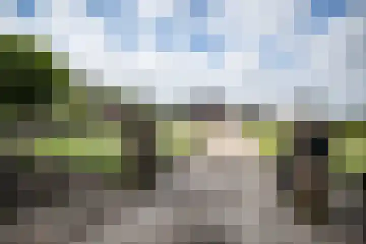 Gerrit Jan Kerkdijkweg 15 a Daarlerveen thumbnail 5