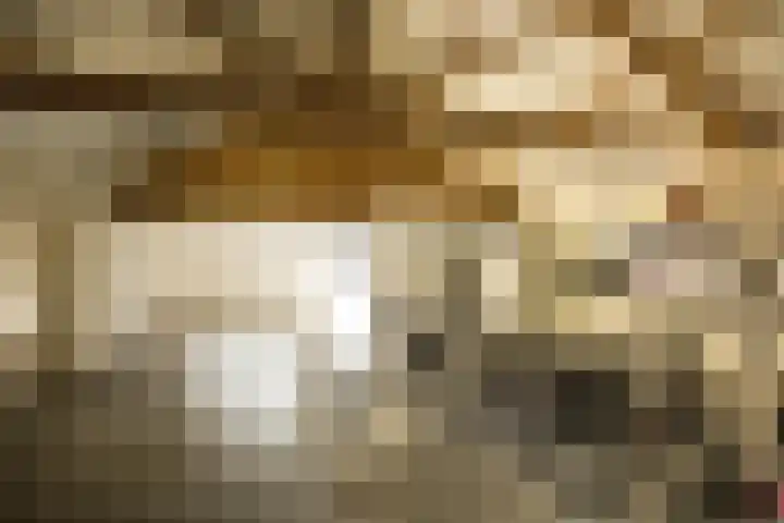 Gerrit Jan Kerkdijkweg 15 a Daarlerveen thumbnail 53