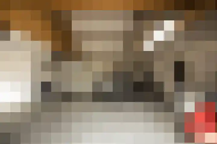 Gerrit Jan Kerkdijkweg 15 a Daarlerveen thumbnail 55