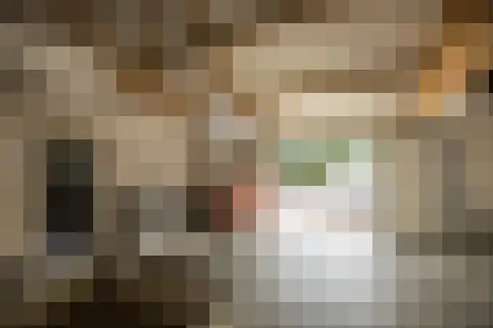 Gerrit Jan Kerkdijkweg 15 a Daarlerveen thumbnail 56