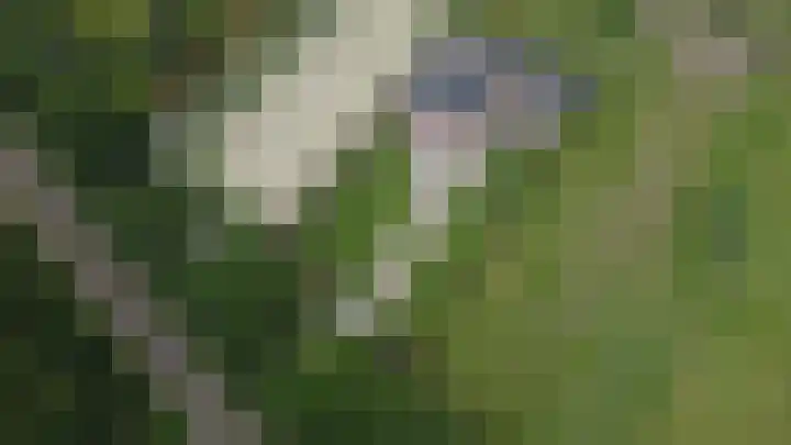 Gerrit Jan Kerkdijkweg 15 a Daarlerveen thumbnail 57