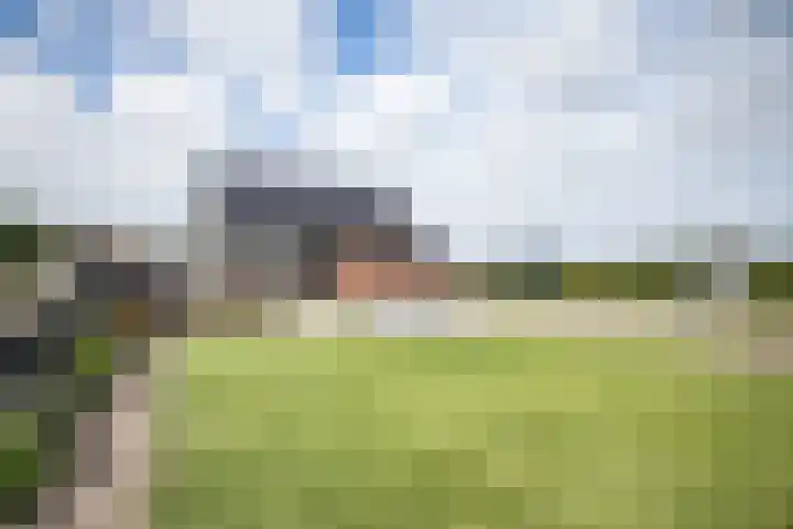 Gerrit Jan Kerkdijkweg 15 a Daarlerveen thumbnail 9