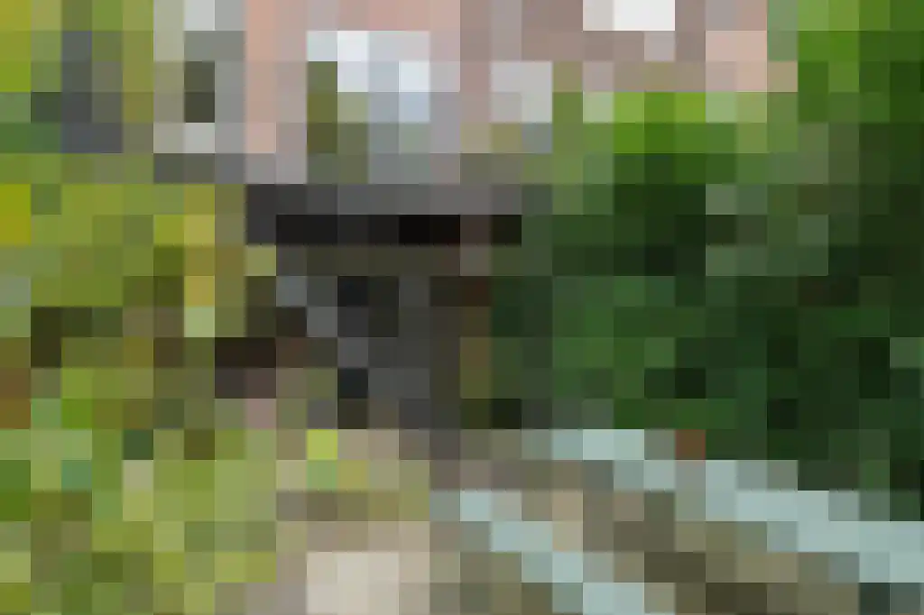 Gerrit Jan Mulderstraat 75 B Rotterdam thumbnail 31