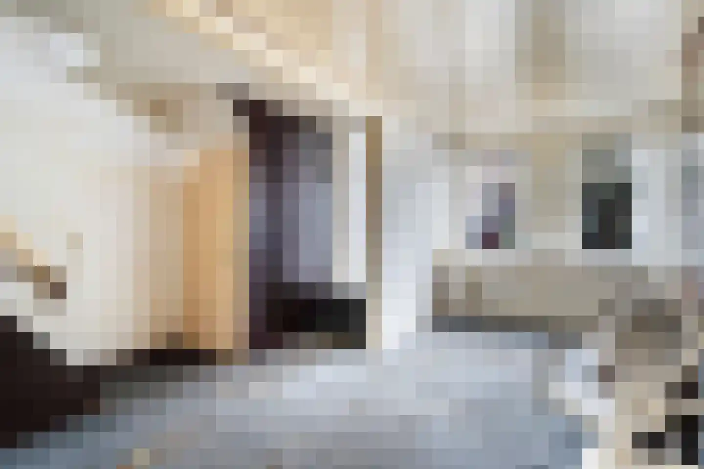 Gerrit Jan Mulderstraat 79 A Rotterdam thumbnail 8