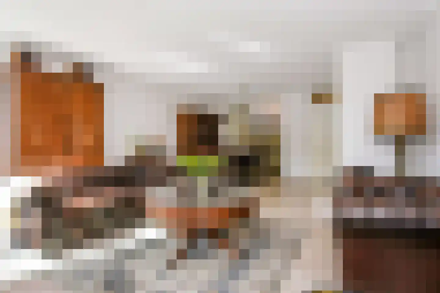 Gerrit Jan van der Veenstraat 39 Leidschendam thumbnail 16