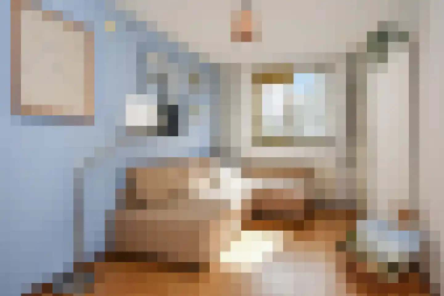 Gerrit Jan van der Veenstraat 39 Leidschendam thumbnail 25