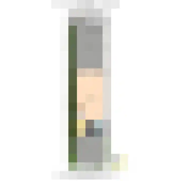 Gerrit Jan van der Veenstraat 53 Leidschendam thumbnail 44