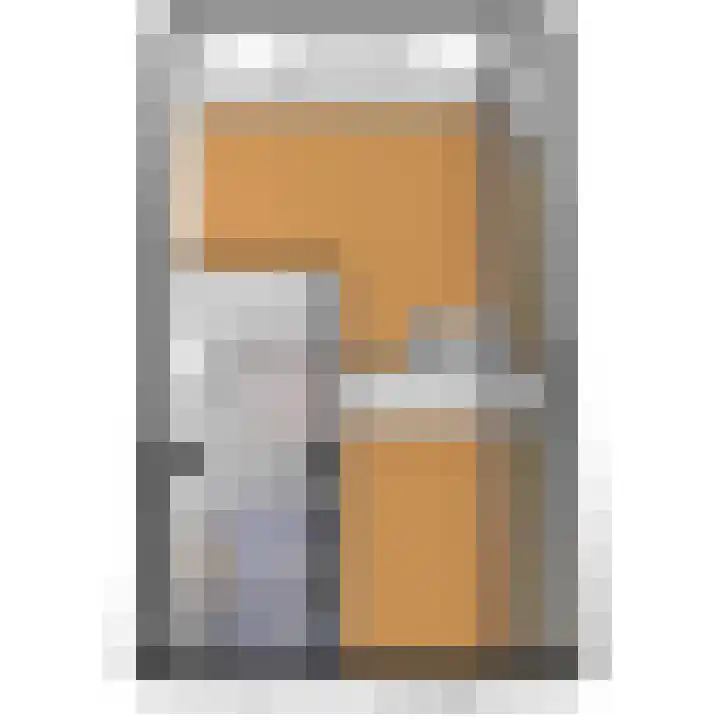 Gerrit Jan van der Veenstraat 53 Leidschendam thumbnail 49