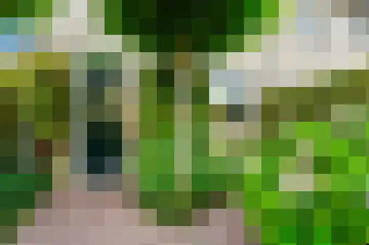 Gerrit Jan van der Veenstraat 53 Leidschendam thumbnail 5