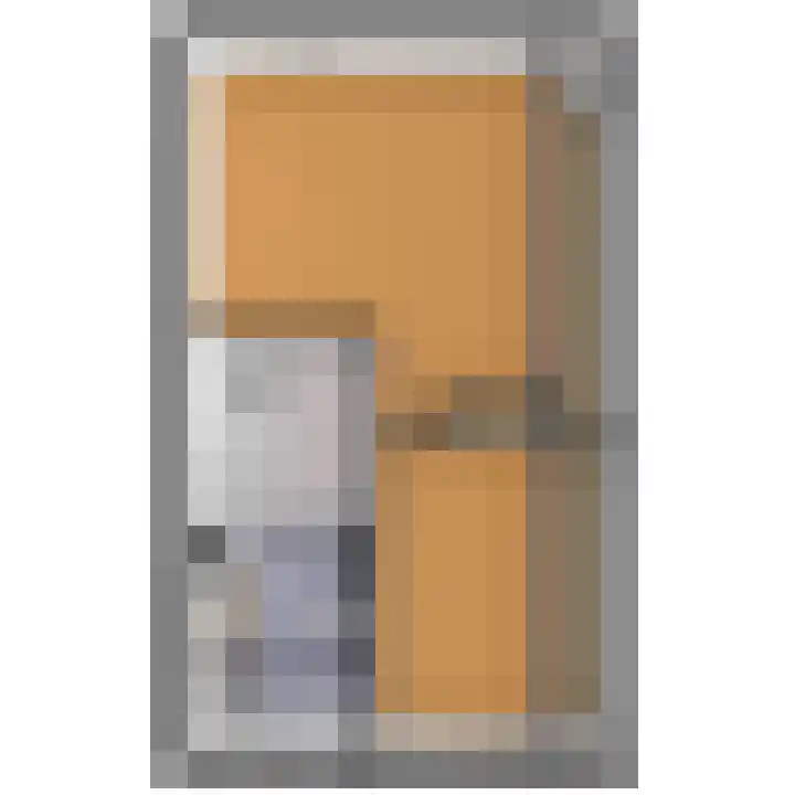Gerrit Jan van der Veenstraat 53 Leidschendam thumbnail 52