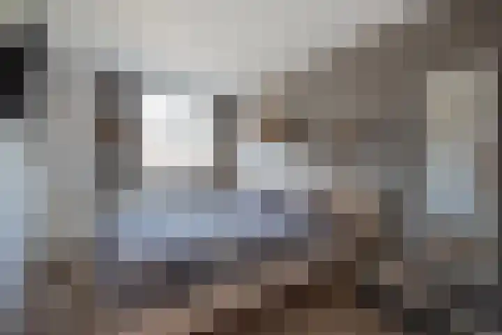 Gerrit Jan van der Veenstraat 81 Leidschendam thumbnail 18