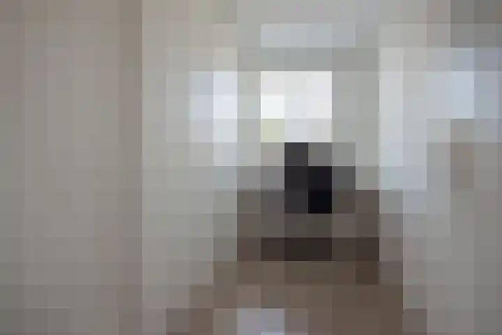 Gerrit Jan van der Veenstraat 81 Leidschendam thumbnail 21