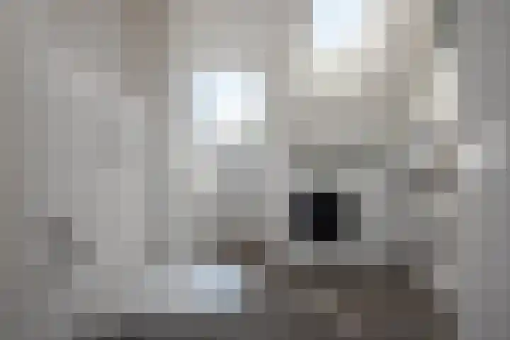 Gerrit Jan van der Veenstraat 81 Leidschendam thumbnail 30