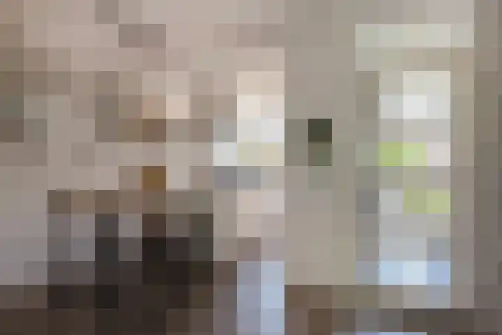 Gerrit Jan van der Veenstraat 81 Leidschendam thumbnail 4