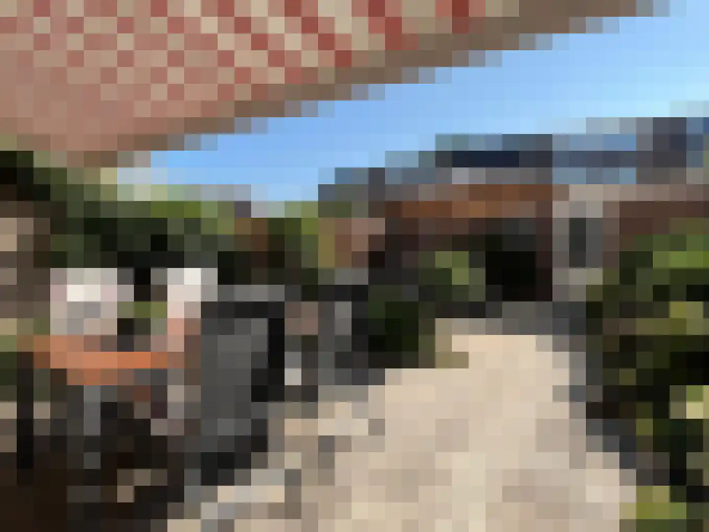 Gerrit Jan vd Veenstraat 26 Montfoort thumbnail 13
