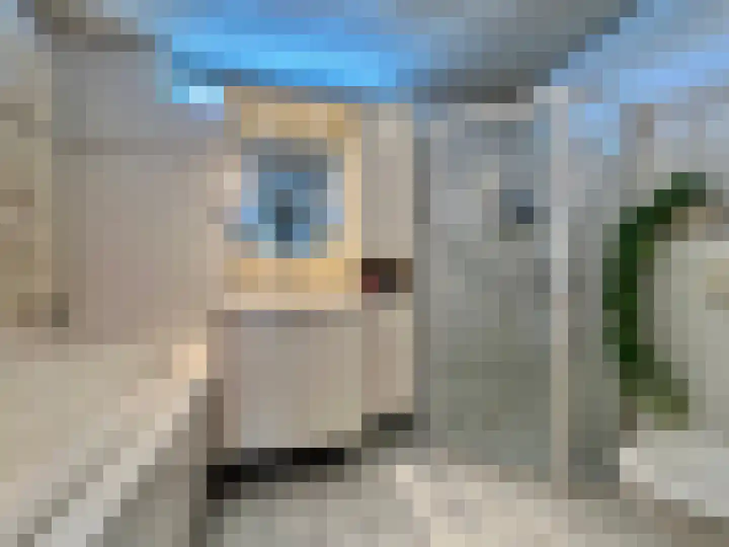 Gerrit Jan vd Veenstraat 26 Montfoort thumbnail 23