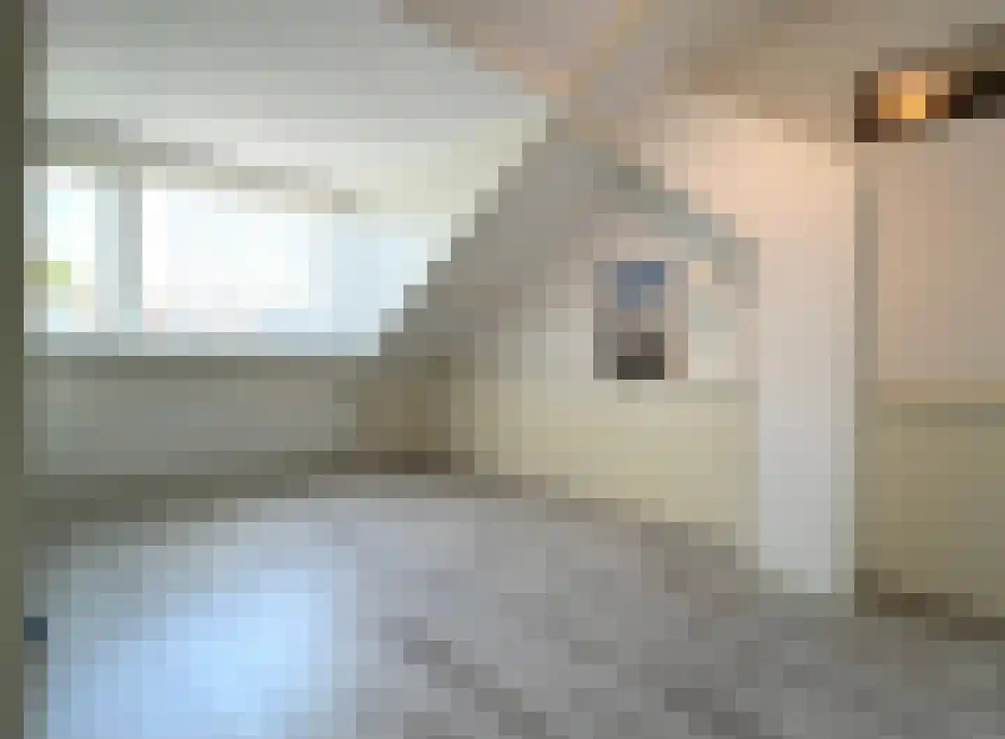 Gerrit Jan vd Veenstraat 26 Montfoort thumbnail 27