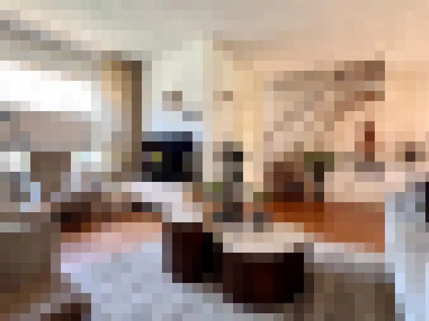 Gerrit Jan vd Veenstraat 26 Montfoort thumbnail 8