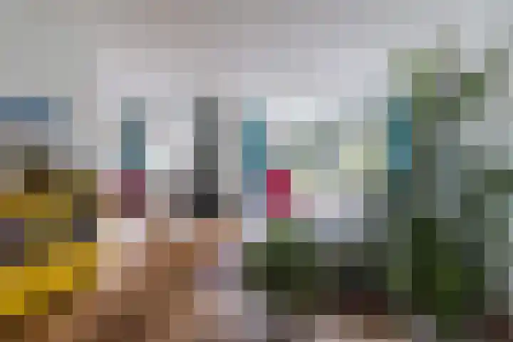 Gerrit Kasteinweg 12 Den Haag thumbnail 10