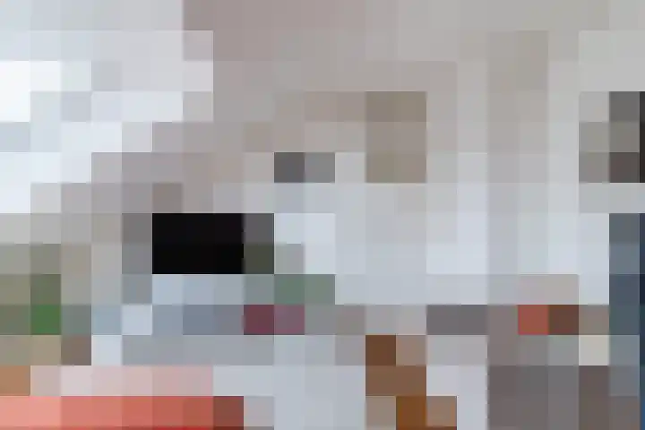 Gerrit Kasteinweg 12 Den Haag thumbnail 37