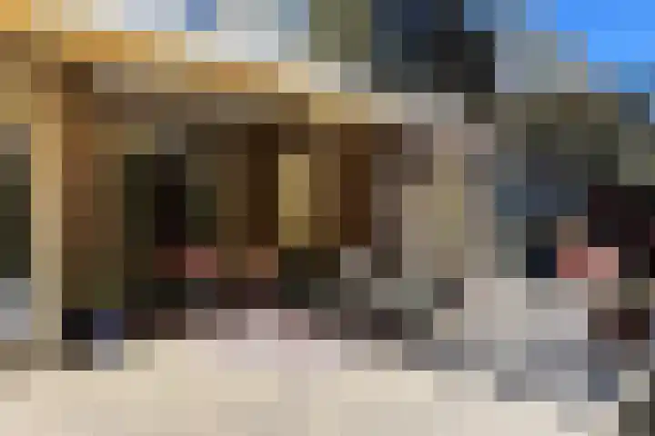 Gerrit Kasteinweg 12 Den Haag thumbnail 54