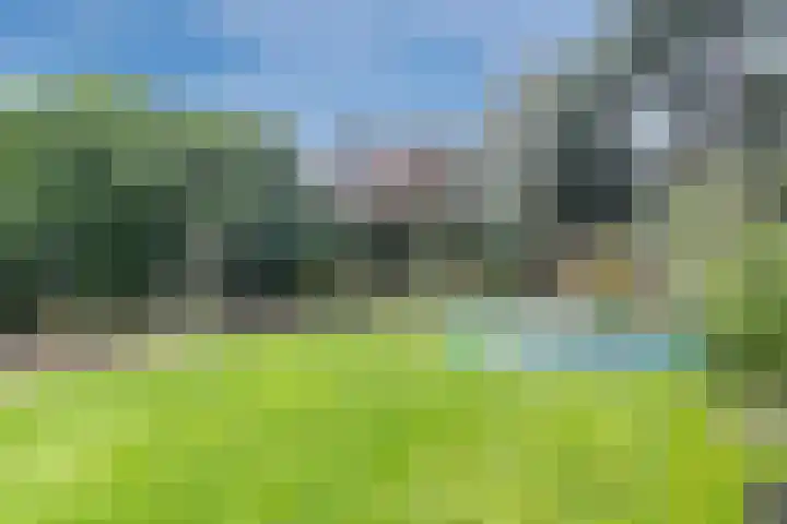Gerrit Kasteinweg 12 Den Haag thumbnail 59